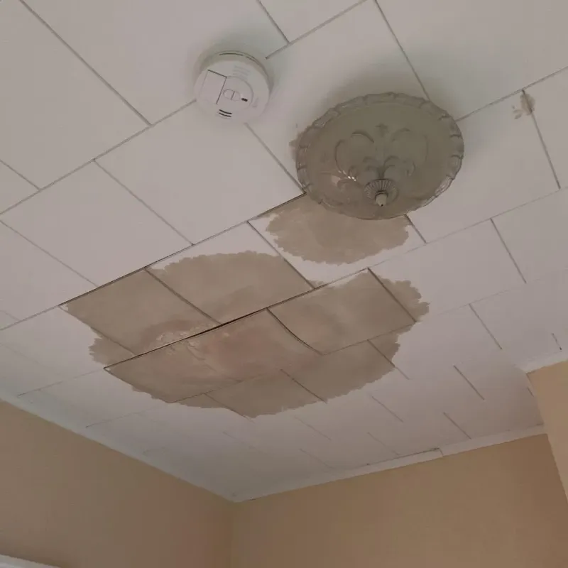 Ceiling Water Damage Repair in Willow Springs, IL