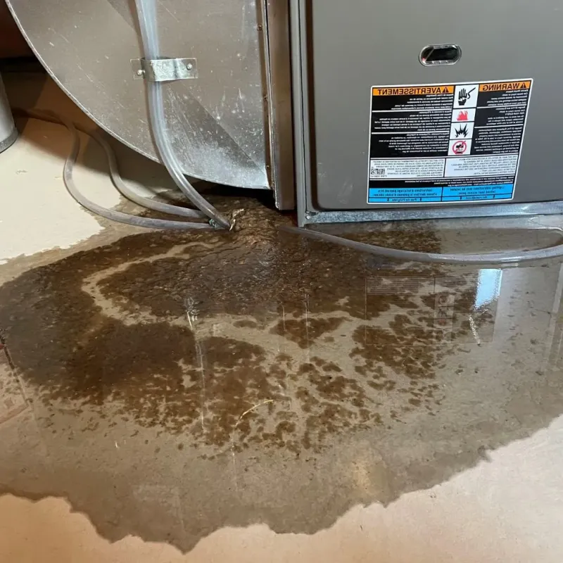 Pipe Burst and Leak Restoration in Willow Springs, IL