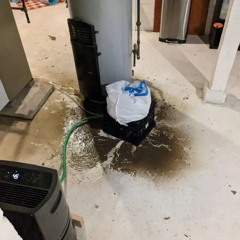 Sewage Backup Cleanup Service in Willow Springs, IL